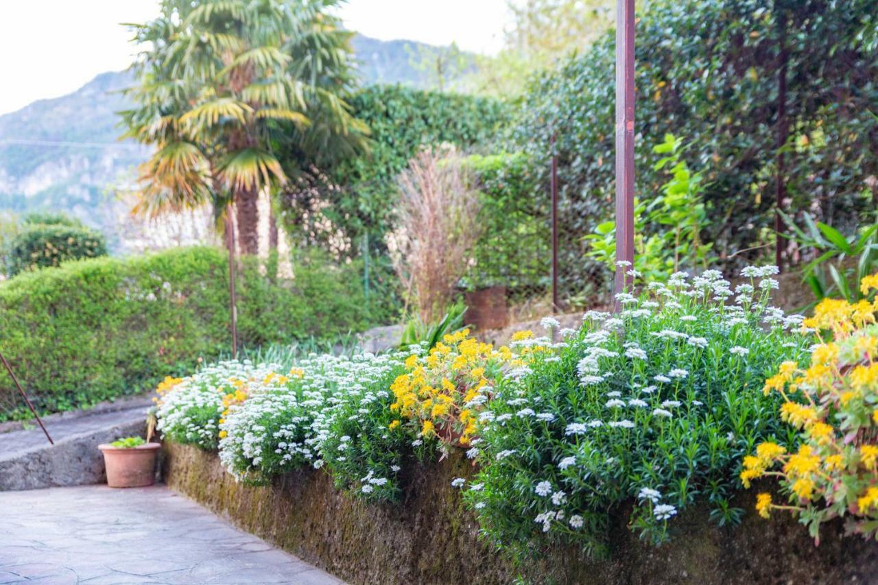 Casa Giulia  Villa Lierna Buitenkant foto